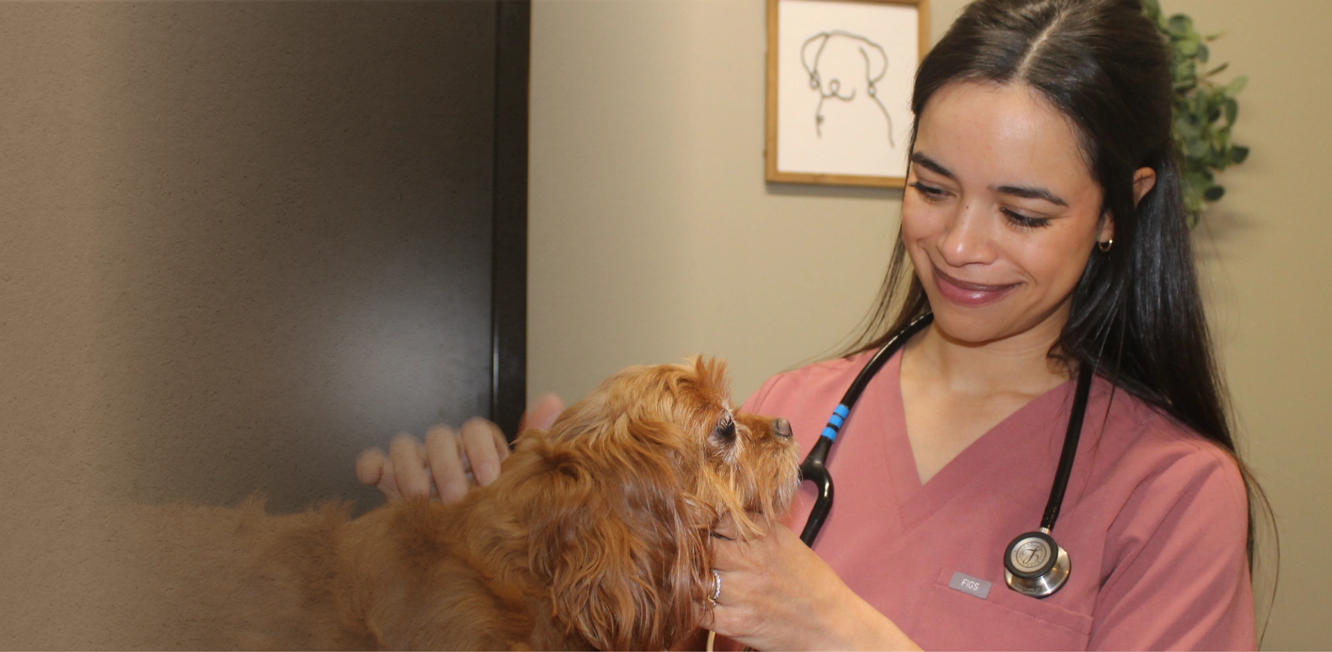 Hero Banner - Where Love Meets Veterinary Care